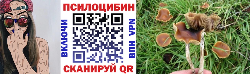 Галлюциногенные грибы Psilocybine cubensis  гидра рабочий сайт  Ардон  хочу  